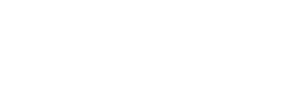 logo ECM Group